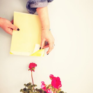 Yellow Sticky Trap 20x25cm